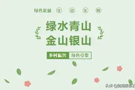 康县：在绿水青山中实现乡村振兴图片