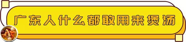 花胶红枣炖鸡 佘自强 2026年花胶红枣煲鸡有什么功效