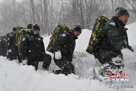 长白山要实现连续60年无重大森林火灾，这场“硬仗”得咋打？图片