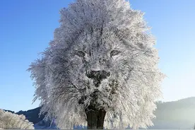 这种P图合成，太有意思了！设计师的脑洞感觉像马桶的无底洞！图片