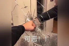 杂烩表情包|可恶！！快停车！我要下车！图片