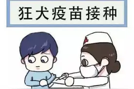 保定市狂犬疫苗"一针难求"？市区两家医院可接种图片