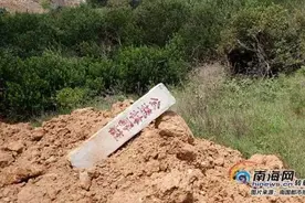 海南暂停富力红树湾所有在建项目，9.69亩枯死红树林已补种图片