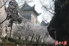 武汉7所“双一流”建设高校在鄂招生计划有增加，还有新增专业图片