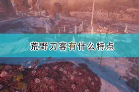 《拾荒者》荒野刀客人物特点及武器介绍图片
