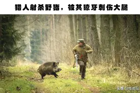 动物报仇：因某些原因而遭动物报仇的6个令人“啼笑皆非”的案例图片