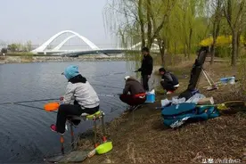 为什么自然水域投放的养殖鱼如此难钓？详解黑坑式水库作钓技巧图片