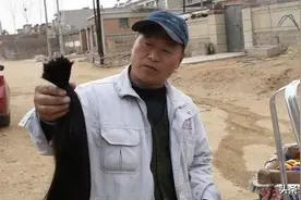 农村经常有人“高价”收头发，这有啥猫腻？看了才知道太精明图片