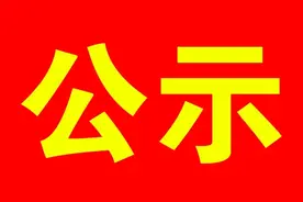 陇南1县23名干部任前公示的公告图片