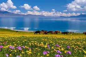Amy 的旅游日记——西安与新疆图片