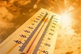 难怪美洲越来越热！雨林被砍伐面积等于4个纽约，地球环境在恶化图片