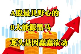 A股最具野心的9大能源黑马，龙头基因蠢蠢欲动图片
