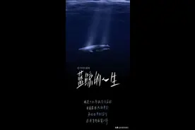 蓝鲸的一生图片
