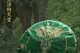 神隐瑞瑞象，耀世登场图片