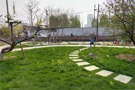 邯郸市复兴区庞村街道：拆了破旧厂房，建成街心广场图片
