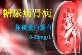 糖尿病肾病，牢记数字20，避免尿毒症的金钥匙图片