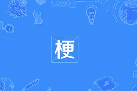 22个网文梗你知道几个？知道20个以上你就是老书虫了！图片