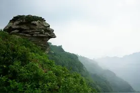 河南灵宝一小吃，一碗15元能吃到撑，来吃的人都“络绎不绝”图片
