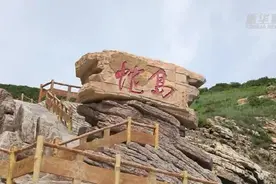 茫茫大海中的大连蛇岛，为什么有那么多毒蛇，它们都是从哪来的？图片
