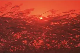 这特么才是中国人最原始的激情图片