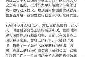 “前妻闹剧”再度上演！金科黄红云前妻欲公开“夺权”？图片