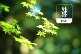 天气预报：今日处暑，天气是晴天好还是雨天好？看看农谚俗语预兆图片