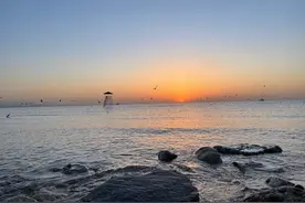 北戴河鸽子窝公园超全游玩攻略！一起做大海的邻居，赴向往的生活图片