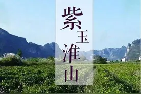 助农！5000斤紫玉淮山滞销愁坏种植户，县城范围免费配送！图片