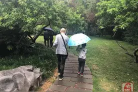 郑州：人民公园拆墙透绿竣工　快来看看有多美图片