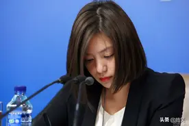 冷艳  最美外交官~张京图片