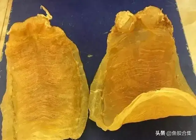 台山赤嘴鱼胶和湛江赤嘴鱼胶 2026年台山赤嘴鳘鱼胶