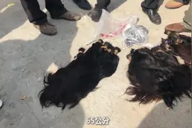 农村收头发能赚多少钱？有人说：一年盖楼房，两年换大奔图片