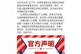 游客打架动物效仿，动物还学过人类哪些行为图片