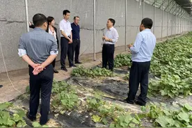 王新华到农发集团大田庄基地、东蒙基地调研指导工作图片