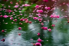 识人术：在内心充满阳光的人身上，不会出现这三个特征图片