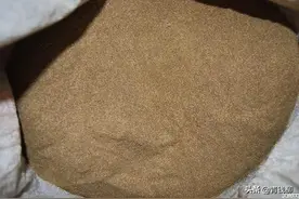 北方地区药用植物龙胆草种子繁殖技术图片