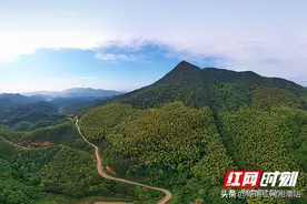 航拍丨隔屏“森”呼吸 在湘潭的林海上“氧泳”（韶山篇）图片