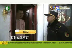 八年前救下了小狗 一直没去办证？再一看还有一只问题狗图片