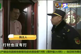 八年前救下了小狗 一直没去办证？再一看还有一只问题狗图片