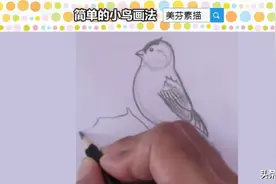 初级素描快速入门教程，简单几笔画一只可爱小鸟铅笔画，适合新手图片