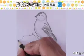 初级素描快速入门教程，简单几笔画一只可爱小鸟铅笔画，适合新手图片