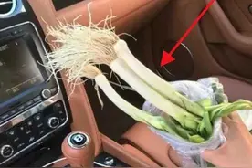 大爷蹭到330万宾利，作为补偿拿出一捆大葱，宾利车主笑着接受图片