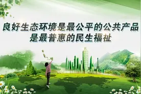 环境保护何时正式成为国策？图片