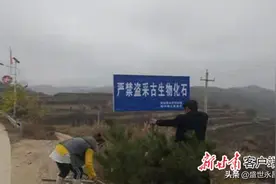 镇原查处一起非法采挖化石行为图片