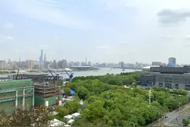 重返浦东世博区域：高大上！未来还将比肩纽约百老汇、伦敦西区图片