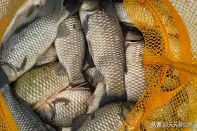 冬季钓鱼，勤快一点，做到这4“勤”，鱼口不间断，渔获有保证图片