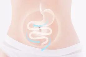 秋冬养胃好时机，麦迪森健康提醒：别走进这些误区图片