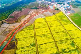 明天开幕！湖口农业旅游文化周暨第五届油菜花节邀您来打卡图片