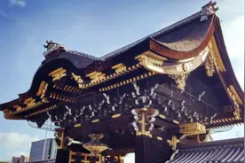 日本最“不务正业”的寺庙，里面不供神佛，专门供奉女性内衣图片