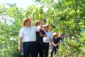 点赞！全区这个现场推进会在来宾召开图片